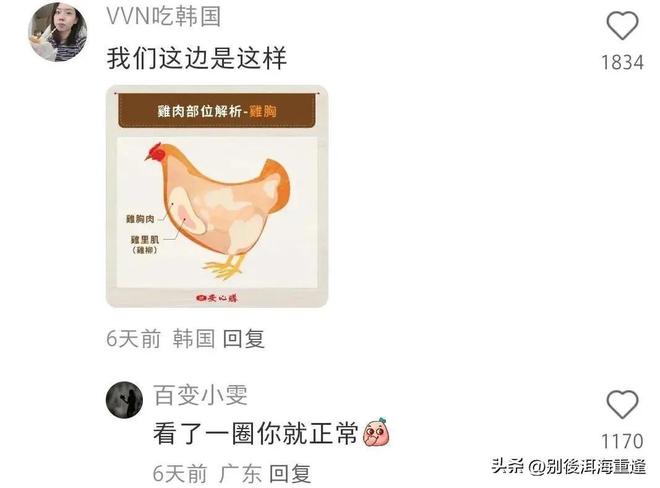 从讲台到赛场，他是深圳教师也是全国乒乓球知名裁判