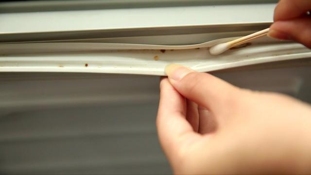 成都蓉城官方：面向全国招募2010