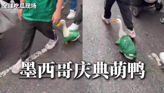 2026“启山杯”湘桂绿茵冠军足球争霸赛即将燃情开赛